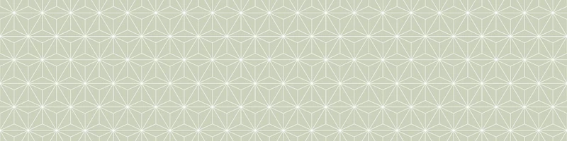 Tapis Vinyle 50x200 Tokyo Sauge Claire
