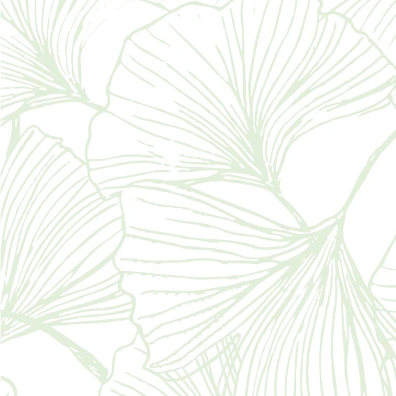 50x230cm Vinyle Gingko Pistache