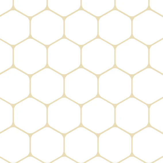 RUCHE BEIGE FOND BLANC 100x100 cm