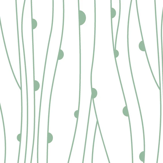 50x199 Vinyle Nature Sage Fond blanc