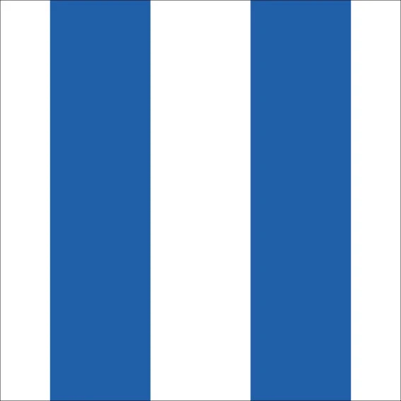 100x100 cm Vinyle Lignes Bleues