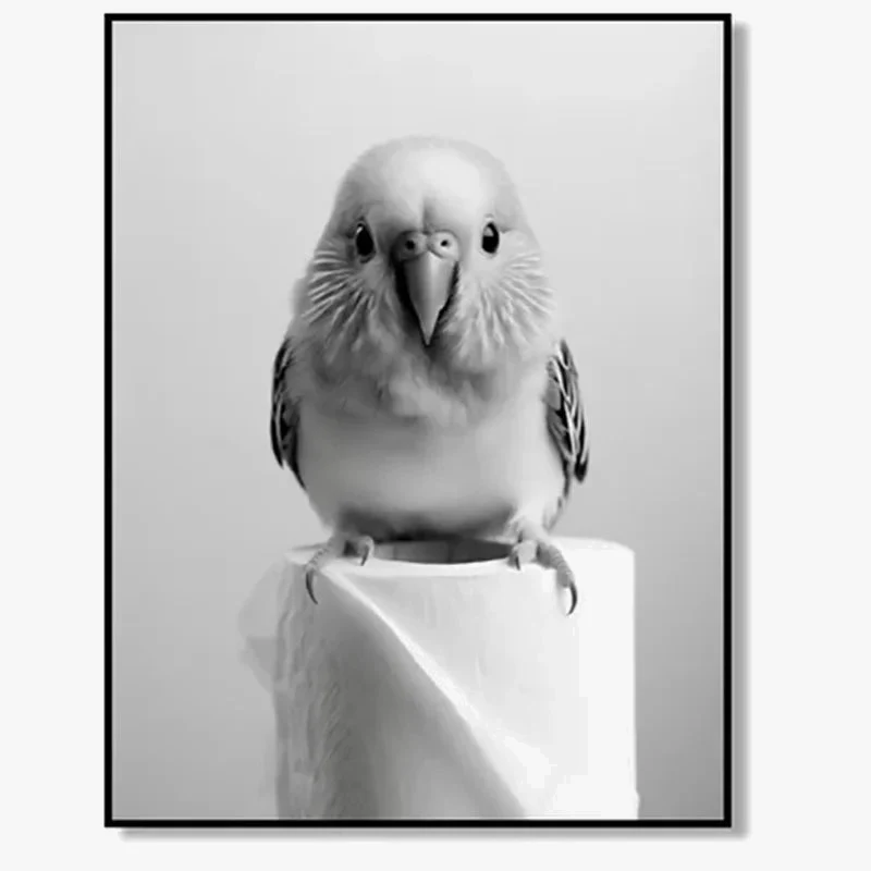 affiches d'art noir et blanc avec animaux mignons décorative