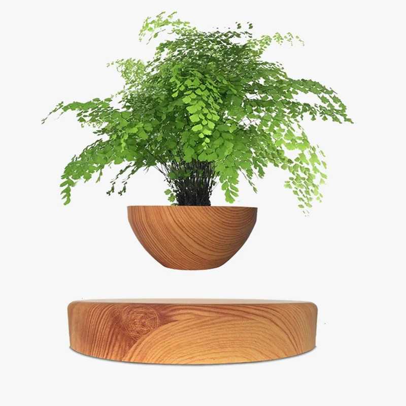 pot de bonsaï à lévitation magnétique pour décoration spéciale
