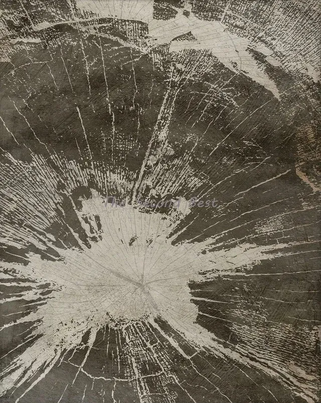 art abstrait sur toile anneaux des arbres décoration moderne pour la maison