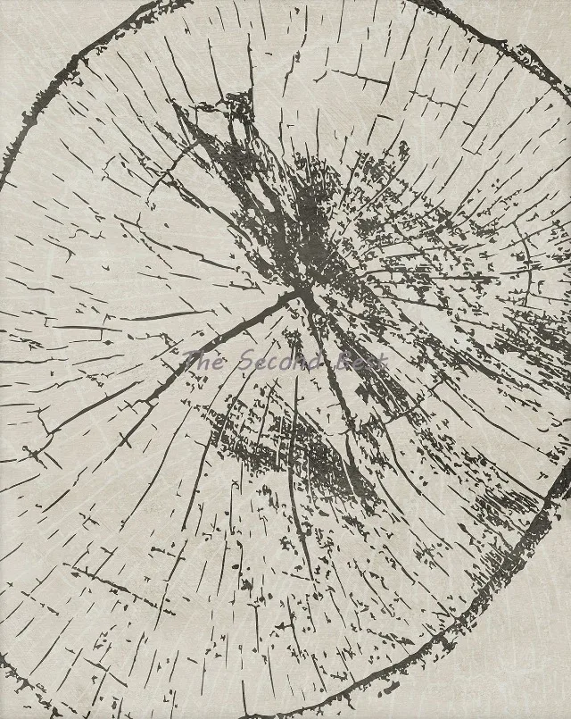 affiches abstraites sur les anneaux des arbres décoration murale artistique