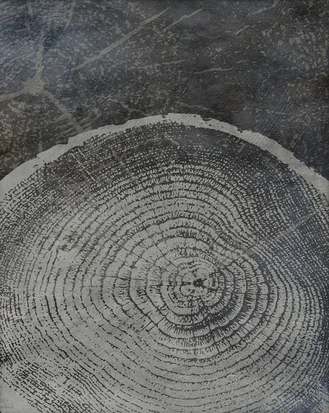 affiches abstraites sur les anneaux des arbres décoration murale nordique