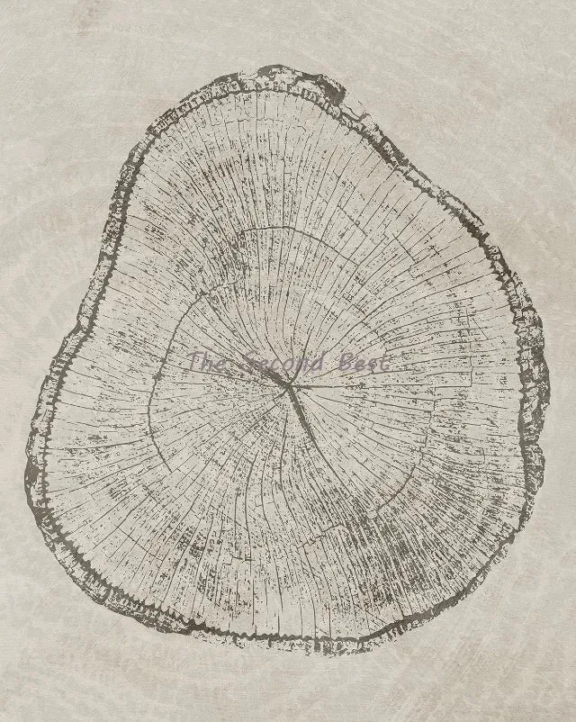 art abstrait sur anneaux d'arbres pour décoration intérieure