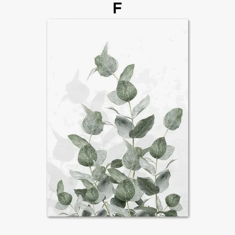affiches paysage naturel matin lac plage herbe art mural