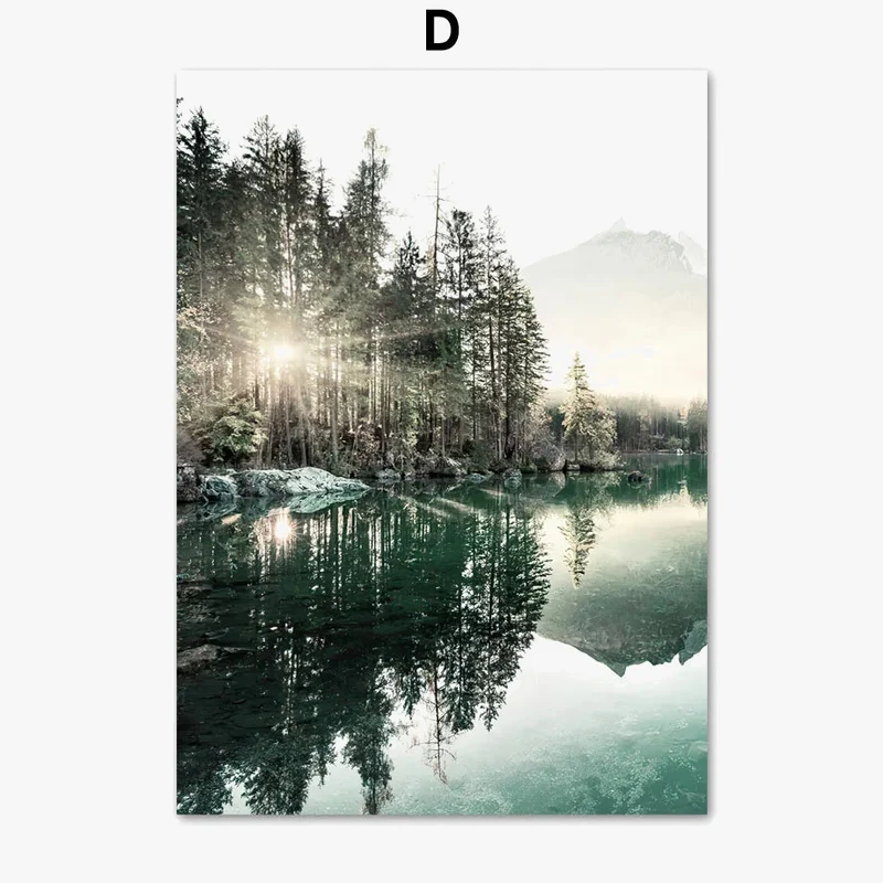 affiche paysage naturel matin lac plage herbe dentelle fleur renard