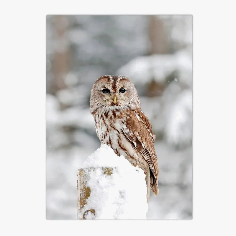 toile murale décorative renard hibou cerf hiver forêt neige