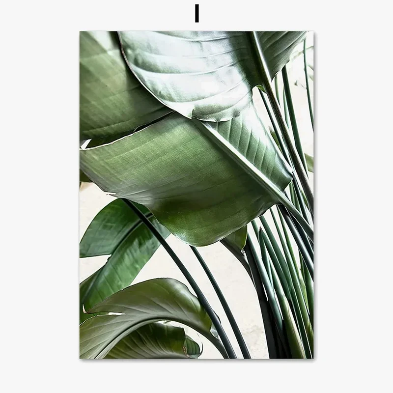 art mural toile feuilles de monstera décoration intérieure plantes
