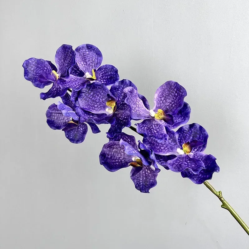 lot de 2 orchidées artificielles vanda pour décoration intérieure