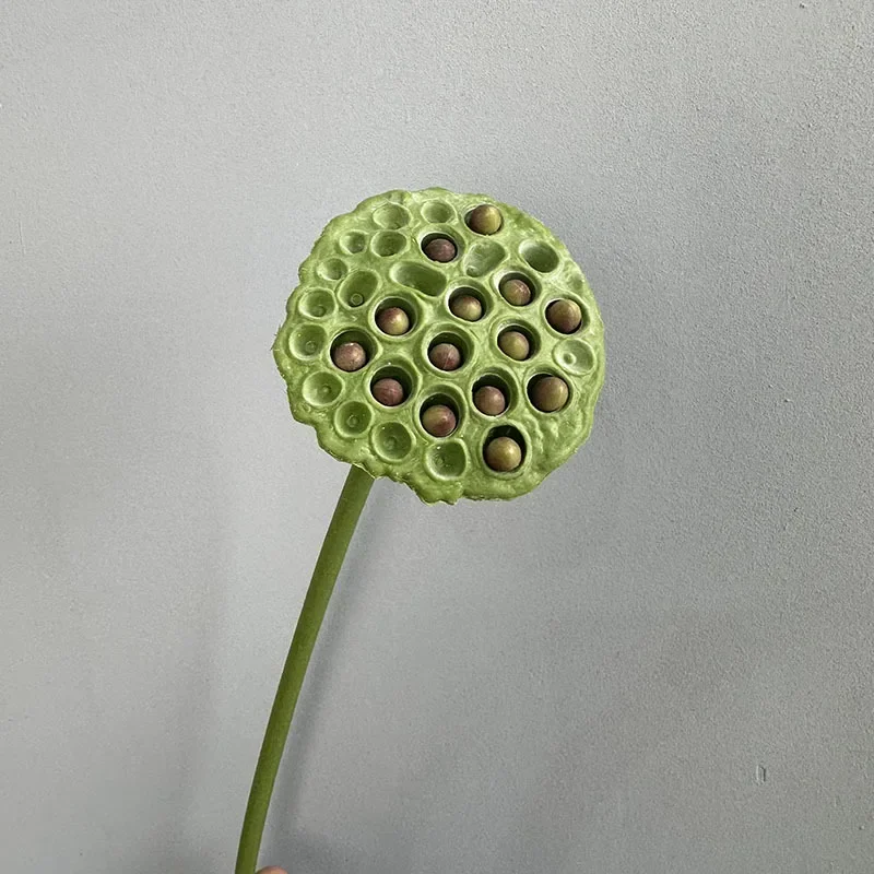 plantes artificielles lotus touché réel décoration florale pour intérieur