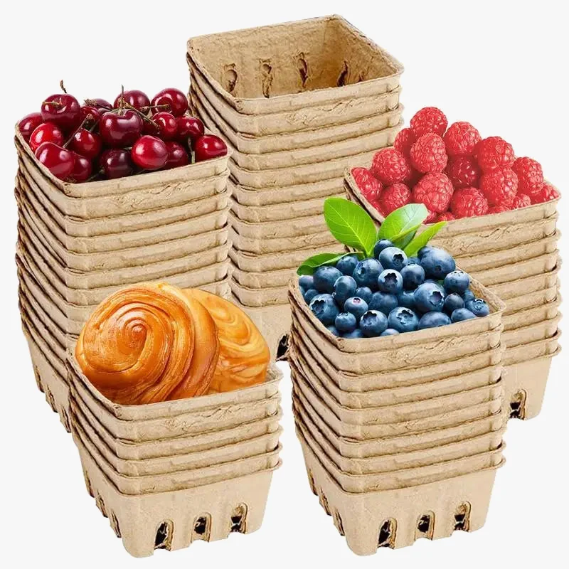 lot de 50 paniers à baies en fibre de pulpe naturelle