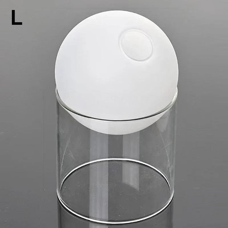 mini vase rond en verre pour décoration hydroponique écologique